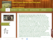 Tablet Screenshot of mynigeriandwarfs.com
